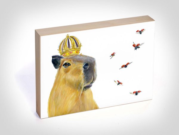 Капибара открытка