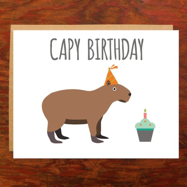 Капибара Стас Давыдов