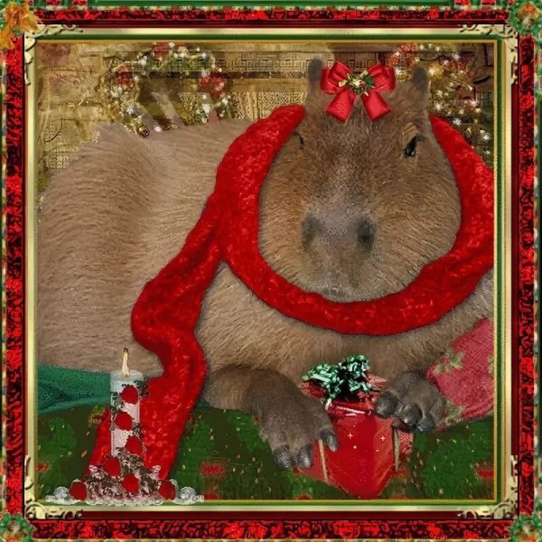 Капибара адопт