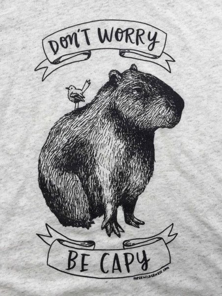 Крикет капибара