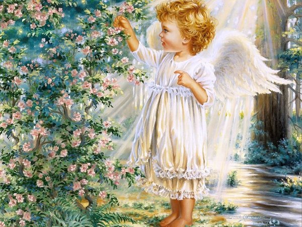 Джесси Гелсингер