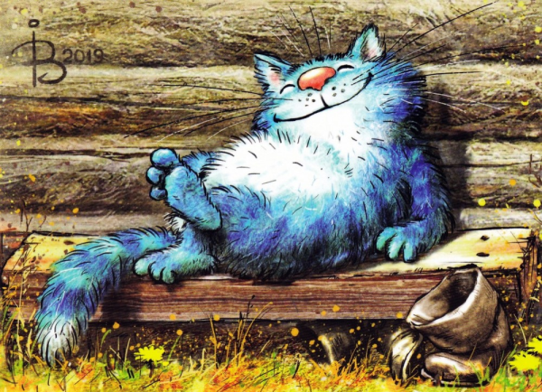 Коты Ирины Зенюк