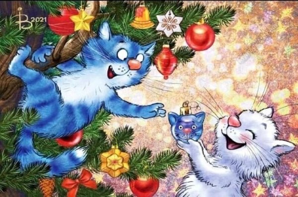 Синие коты Ирины Зенюк зима 2021