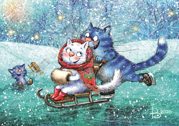 Коты Ирины Зенюк 2020