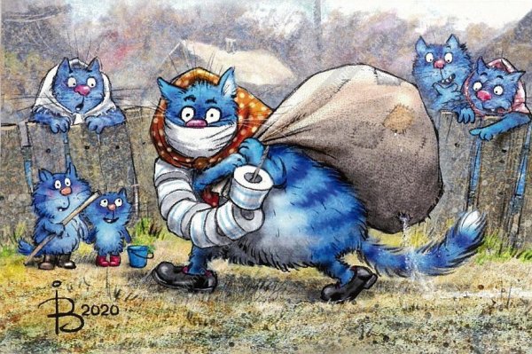 Коты Ирины Зенюк 2020