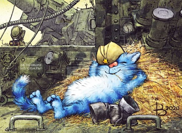 Ирина Зенюк 2020