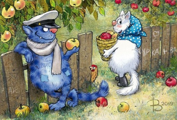 Коты Ирины Зенюк 2020