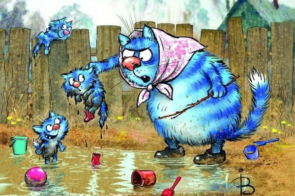 Синие коты Ирины Зенюк 2020