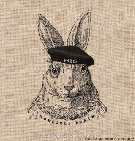 Кролик Инле обитатели холмов