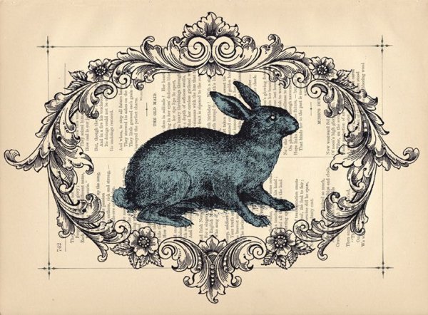 Черный кролик Инле