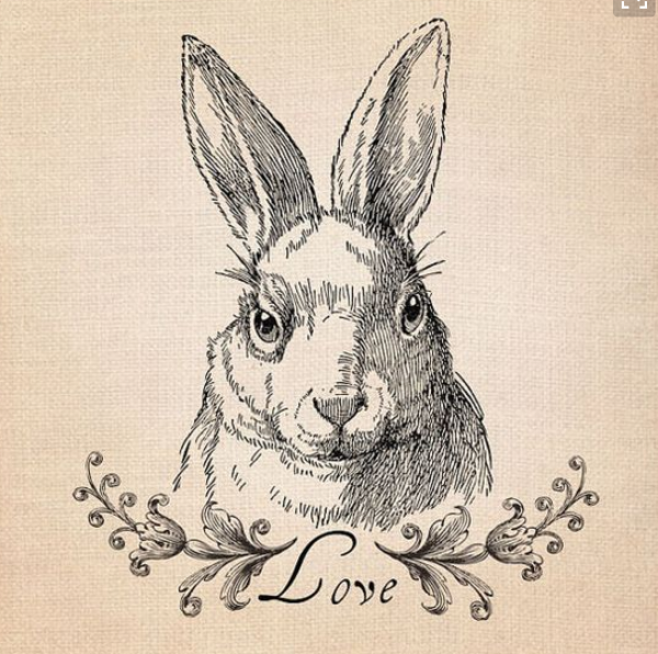 Символ кролика на новый год