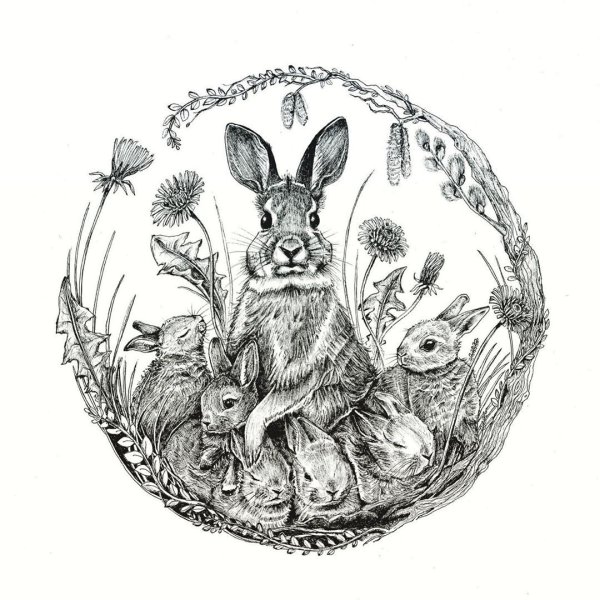 Черный кролик арт