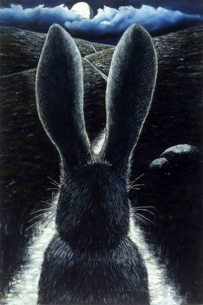 Черный кролик / Bunny Black