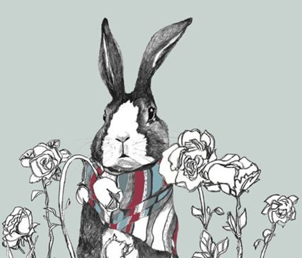 Милые иллюстрации животных