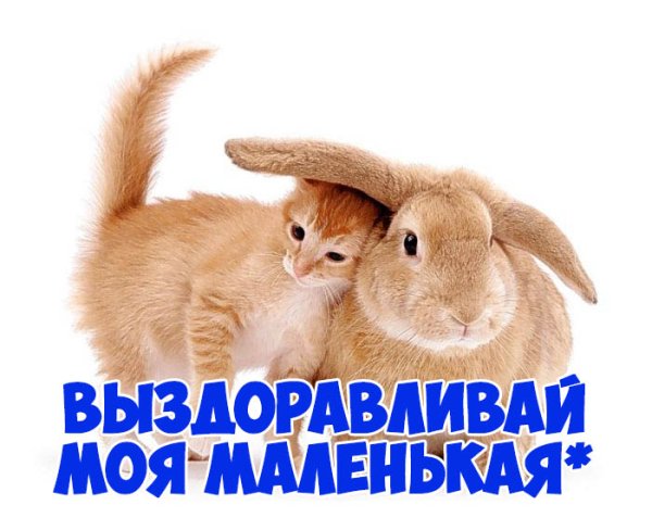 Выздоравливай скорее