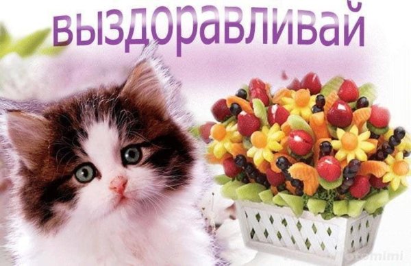 Пожелания скорейшего выздоровления