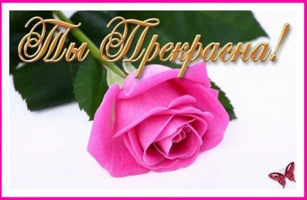 Цветы для самой очаровательной