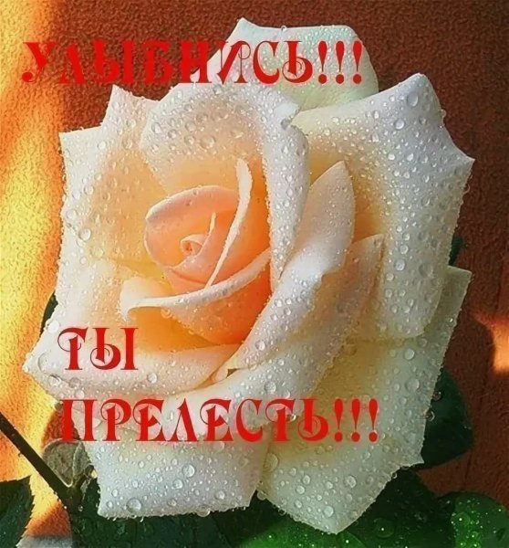 Открытка комплименты