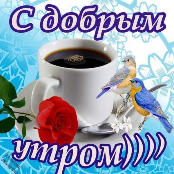 Открытки с добрым утром