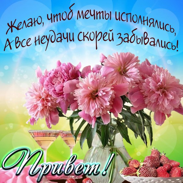 Поздравления на каждый день