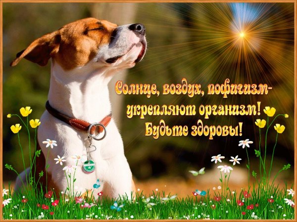 Пожелание здоровья и хорошего настроения
