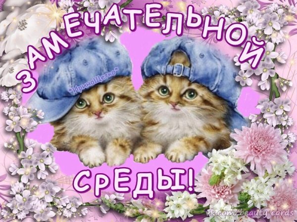 Открытки со средой прикольные