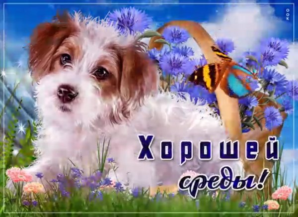 Открытки замечательной среды