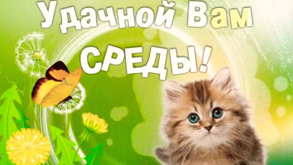 Открытки доброе утро среда