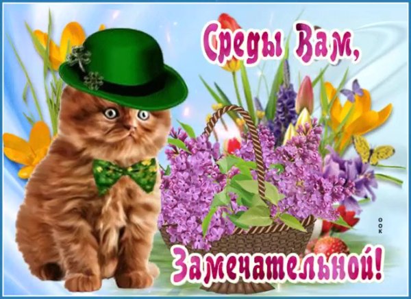 Открытки со средой прикольные