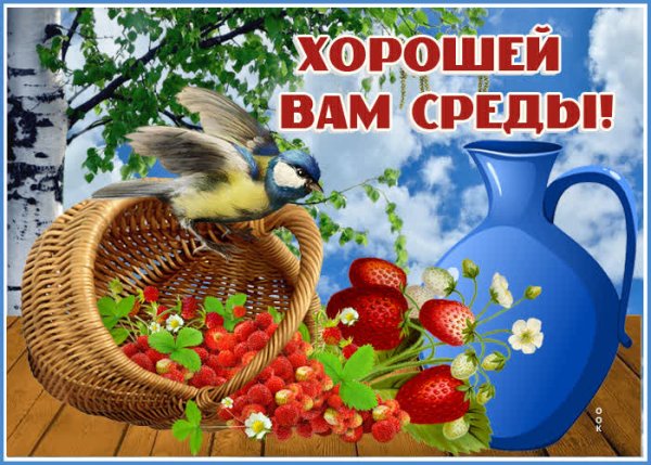 Открытки со средой