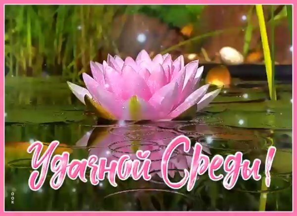 Поздравление со средой