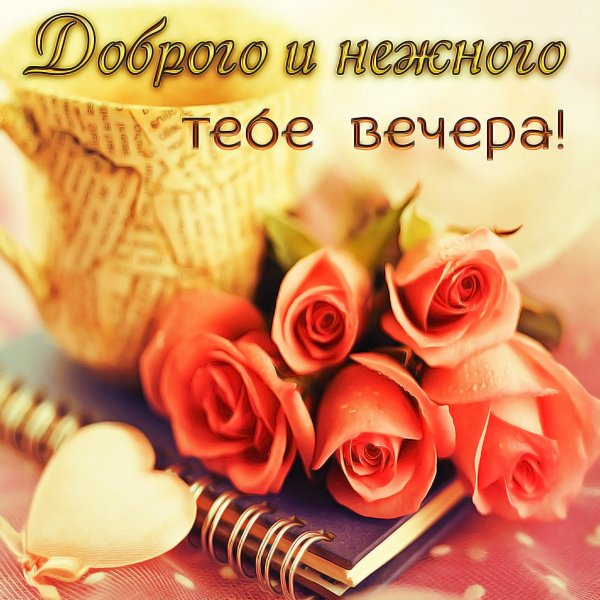 Доброго уютного вечера