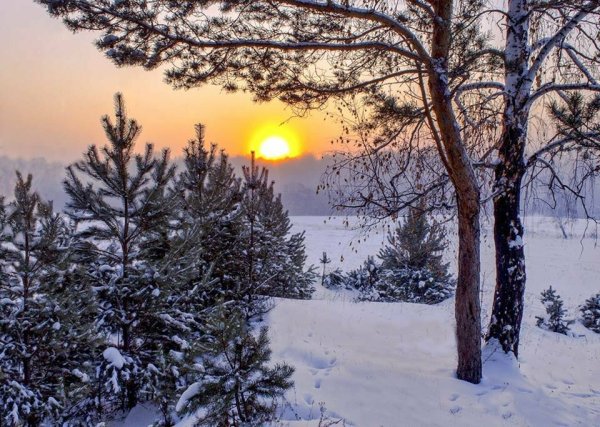 День зимнегосолнцестояние