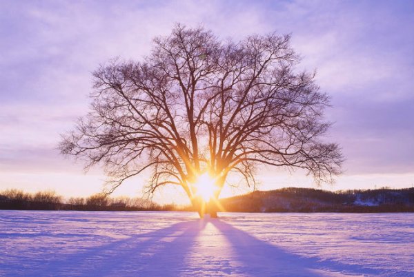 21 Декабря зимнее солнцестояние
