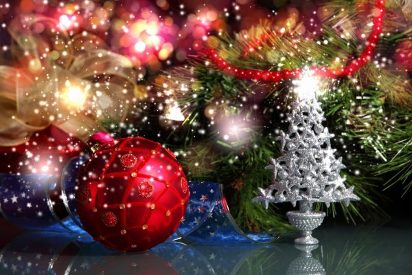 Новогодние живые