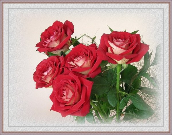 Сднём рождения Николай