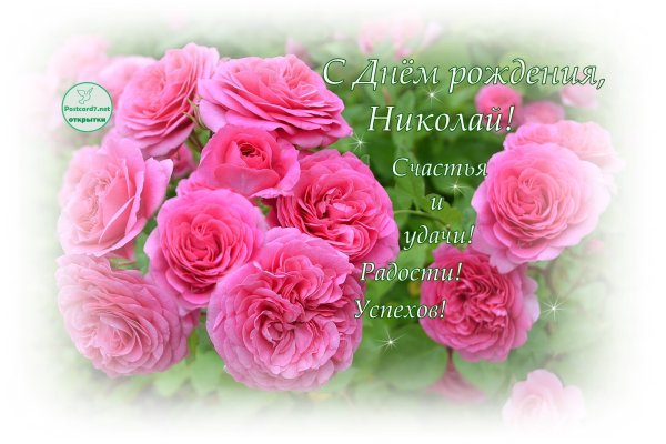 Поздравления с днём рождения Коля