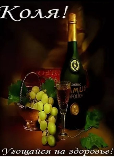 С днём рождения Николай