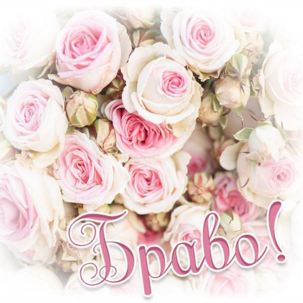 Браво цветы