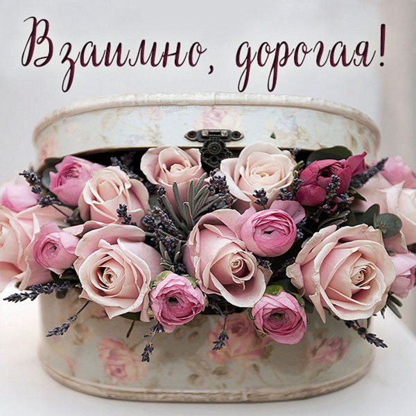 Спасибо дорогая взаимно