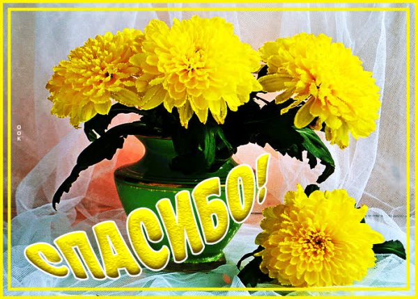 Открытка взаимно