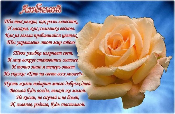 Красивые стихи для любимых девушек