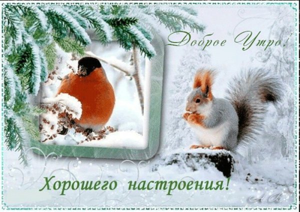 Зимнее настроение