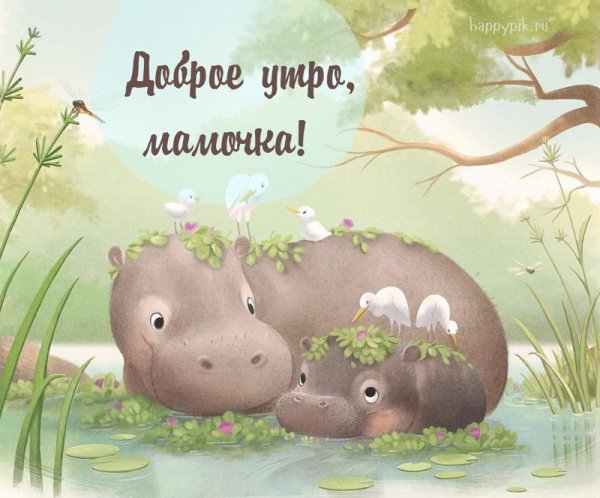 С добрым утром мама