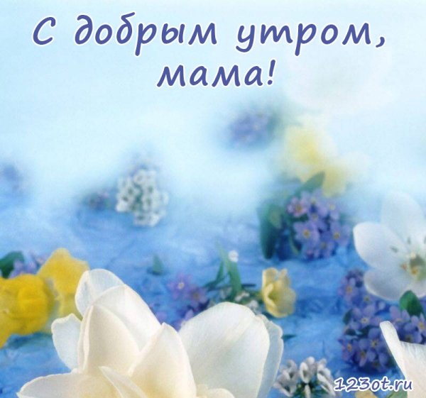 Доброе утро мама