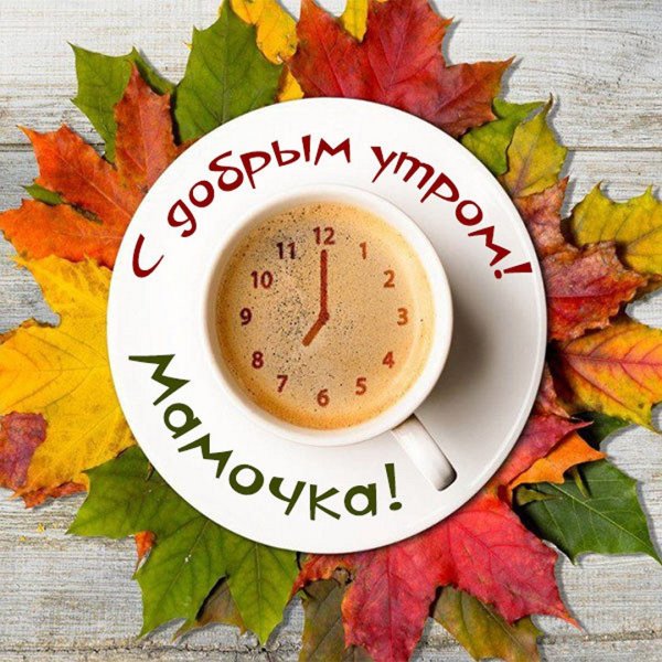 Доброе утро мамочка