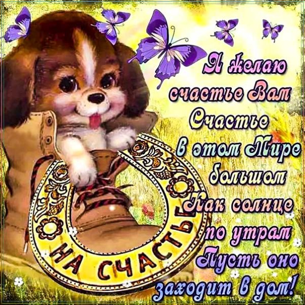 Пожелания счастья