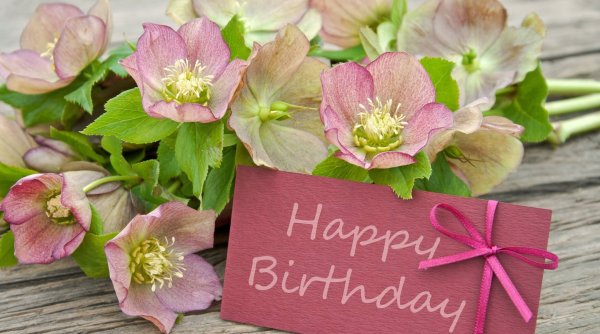 С днем рождения