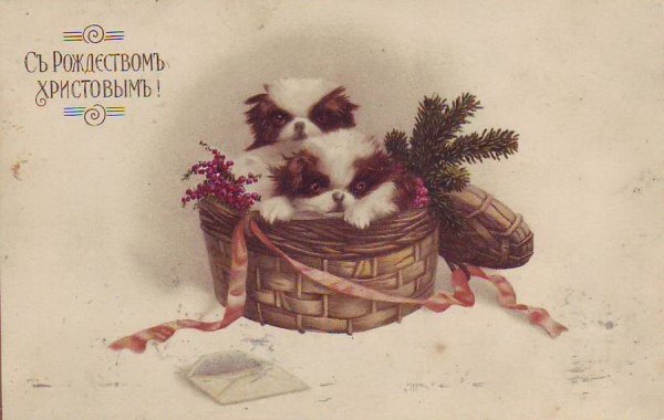 Дореволюционные новогодние открытки