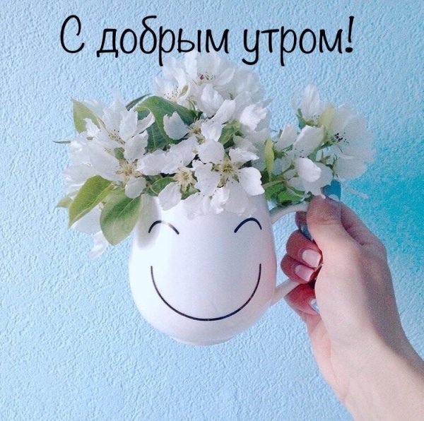 С добрым утром вторника